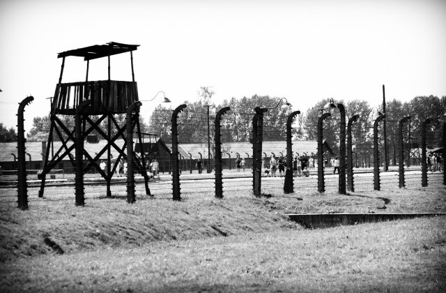 concentration-camp-1164562.jpg